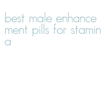 best male enhancement pills for stamina