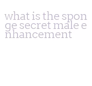 what is the sponge secret male enhancement