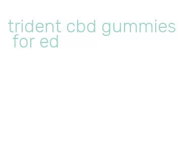 trident cbd gummies for ed