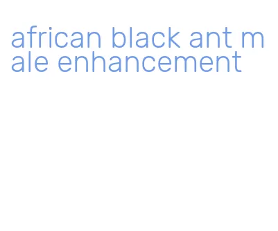 african black ant male enhancement
