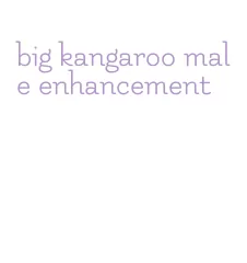 big kangaroo male enhancement