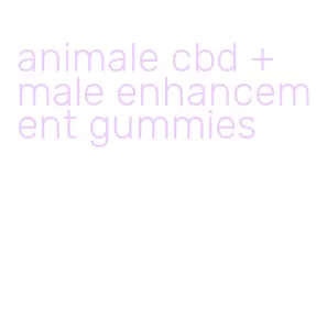 animale cbd + male enhancement gummies