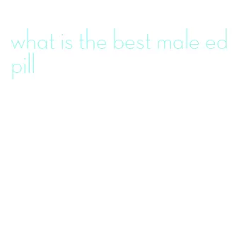 what is the best male ed pill