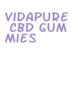 vidapure cbd gummies