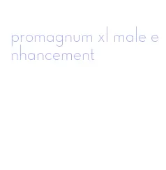 promagnum xl male enhancement