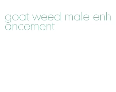 goat weed male enhancement