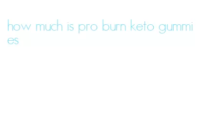 how much is pro burn keto gummies