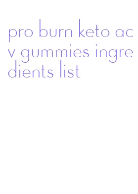 pro burn keto acv gummies ingredients list