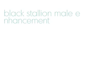 black stallion male enhancement