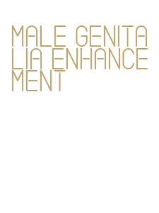 male genitalia enhancement