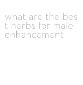 what are the best herbs for male enhancement