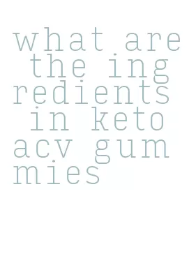 what are the ingredients in keto acv gummies