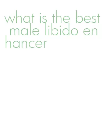 what is the best male libido enhancer