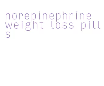 norepinephrine weight loss pills