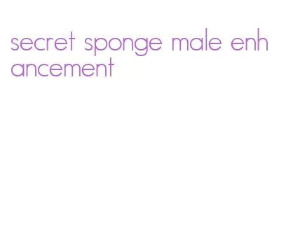secret sponge male enhancement