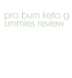 pro burn keto gummies review