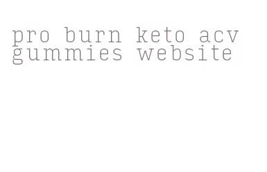 pro burn keto acv gummies website