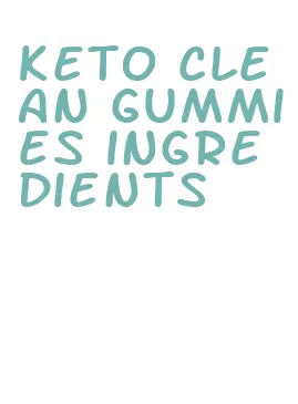 keto clean gummies ingredients
